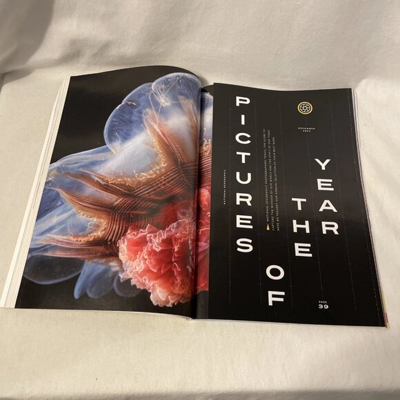 National Geographic December 2023 Pictures Of The Year Spain's Alhambra Caribou - Picture 6 of 10